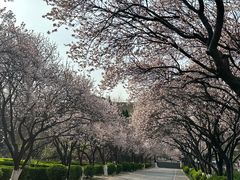-山东师范大学(千佛山校区)