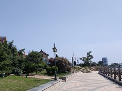 -渡海小渔村.老辈日照菜