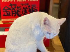 -新月集庭院咖啡馆(老邮局店)