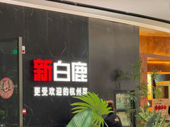 -新白鹿餐厅(滨江银泰店)