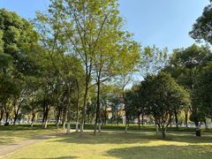 -后襄河公园