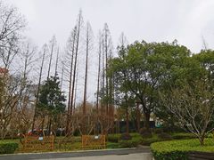 -徐家汇源景区-衡山公园