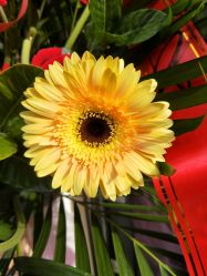 -红人馆造型十添