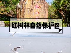 -宝安西湾红树林湿地公园