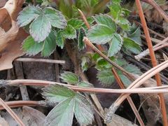 -沈阳辉山风景区