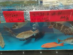 -明本湛江鸡•海鲜小厨(陈家祠店)