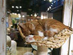 -小时光咖啡馆(开森度假森林店)