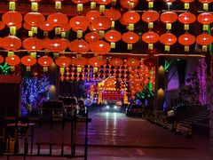 -南宫五洲植物乐园