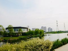 -九里河湿地公园