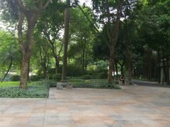 -晓港公园