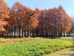 -厦门园林博览苑