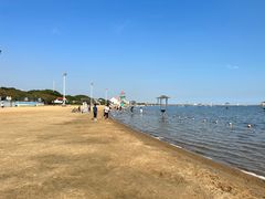 -碧海金沙