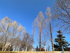 -元大都城垣遗址公园