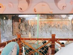 -海合安青岛极地海洋公园