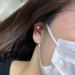 -花师傅