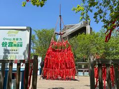 -帽儿山国家森林公园