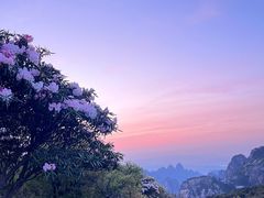 -黄山风景区