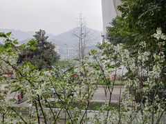 -东水门老街