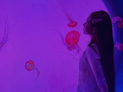 -沈阳海洋探索中心