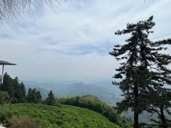 -莫干山风景区