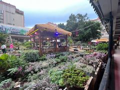 -山菌美食苑(振兴路店)