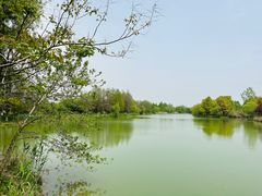 -苏州太湖国家湿地公园