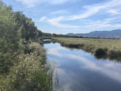 -野鸭湖国家湿地公园