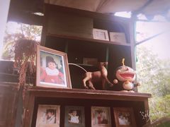 -懒鱼时光馆(沙坪坝店)