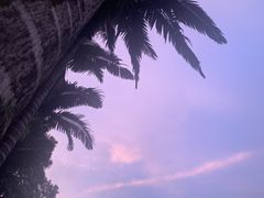 -奥林匹克体育中心游泳馆