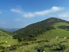 -大姆山草场