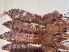 -奕景海鲜酒家· 大连海鲜(星海广场店)