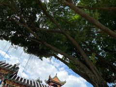 -宝墨园景区