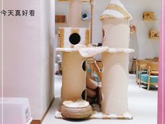 -藏猫猫咖啡主题馆(中央大道店)