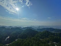 -大金鹰园