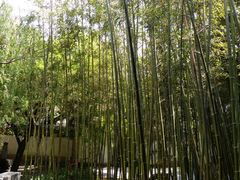 -陕拾叁(袁家村店)