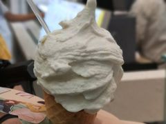 -野人先生现做冰淇淋(西安赛格店)