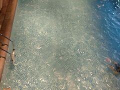 -巴斯漫温泉汗蒸馆(贡湖大道店)