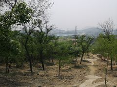 -白水寺森林公园