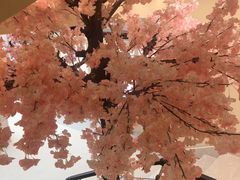 -汤里来温泉