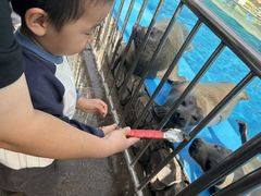 -泉城欧乐堡海洋极地世界