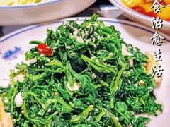 -羊瑞堂·横山炖羊肉·陕菜(未央路旗舰店)
