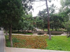 -东北大学(南湖校区)