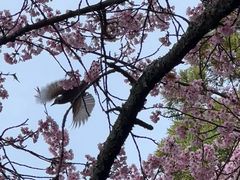 -醍醐寺