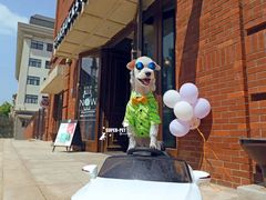 -超宠爱宠物摄影-Super pet