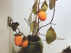 店内布置-朴物良社(东明锦园店)