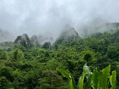 -鹿院坪生态旅游景区