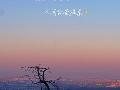 -北京西山国家森林公园