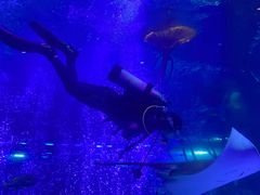 -沈阳海洋探索中心