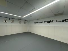 -EFL巴西柔术·综合格斗·泰拳·少儿体能训练(虹桥德必馆)