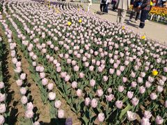 -长春公园(普阳街道)